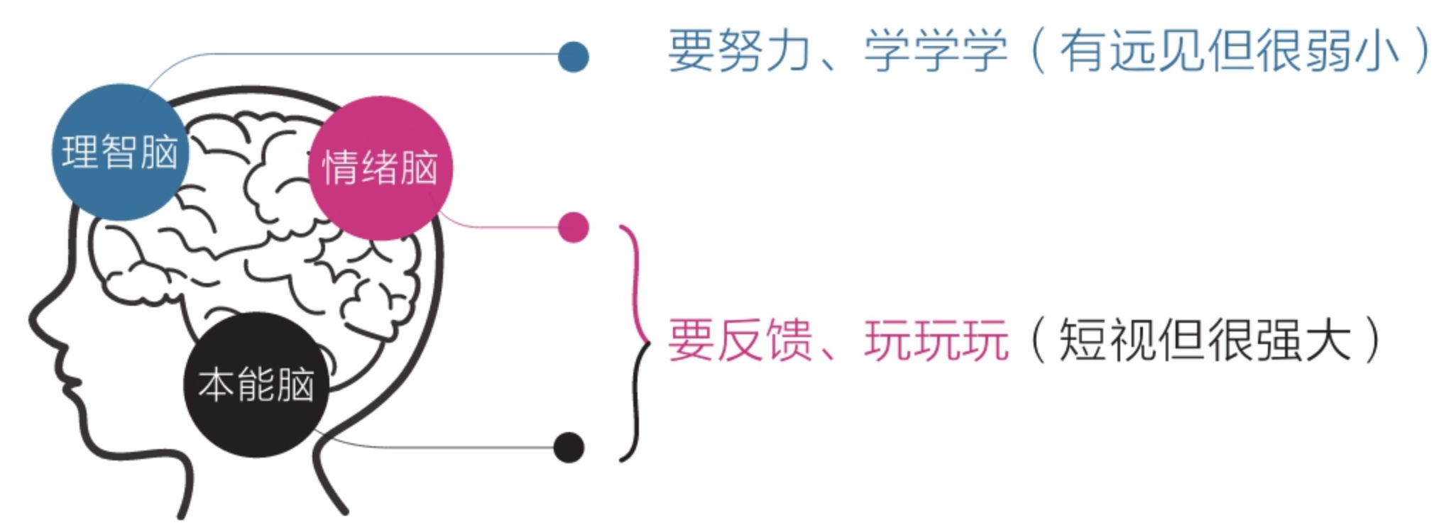 4dfbf233c7833792dca830c8bcd5a8a3_MD5