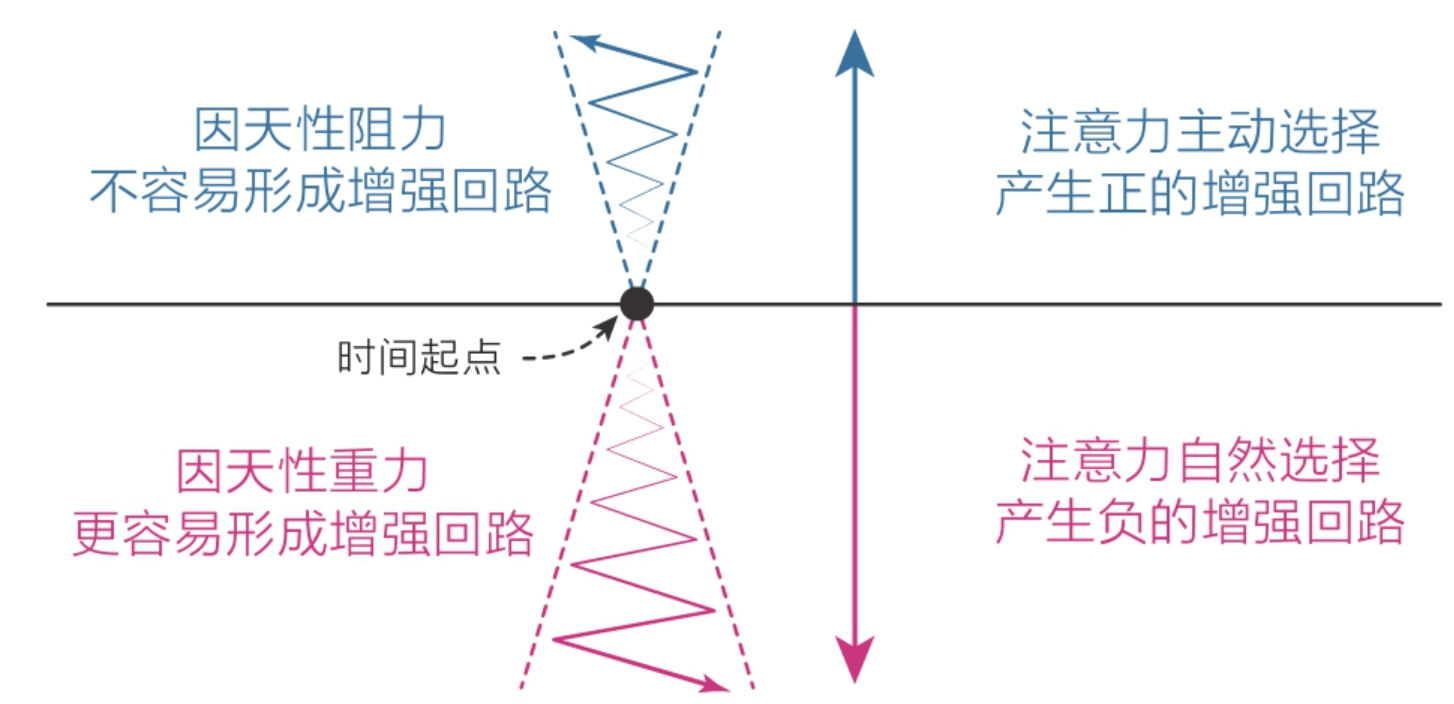 182511c07692b5d71805e7c959c2405a_MD5