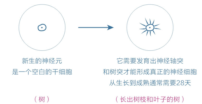 d4ef6dac97317837b25c918c1fbbc479_MD5